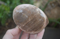 Polished Petrified Wood Standing Free Forms  x 4 From Madagascar - Toprock Gemstones and Minerals 
