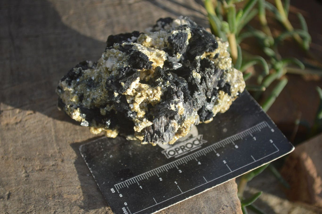 Natural Schorl Black Tourmaline Specimens x 6 From Erongo, Namibia - Toprock Gemstones and Minerals 