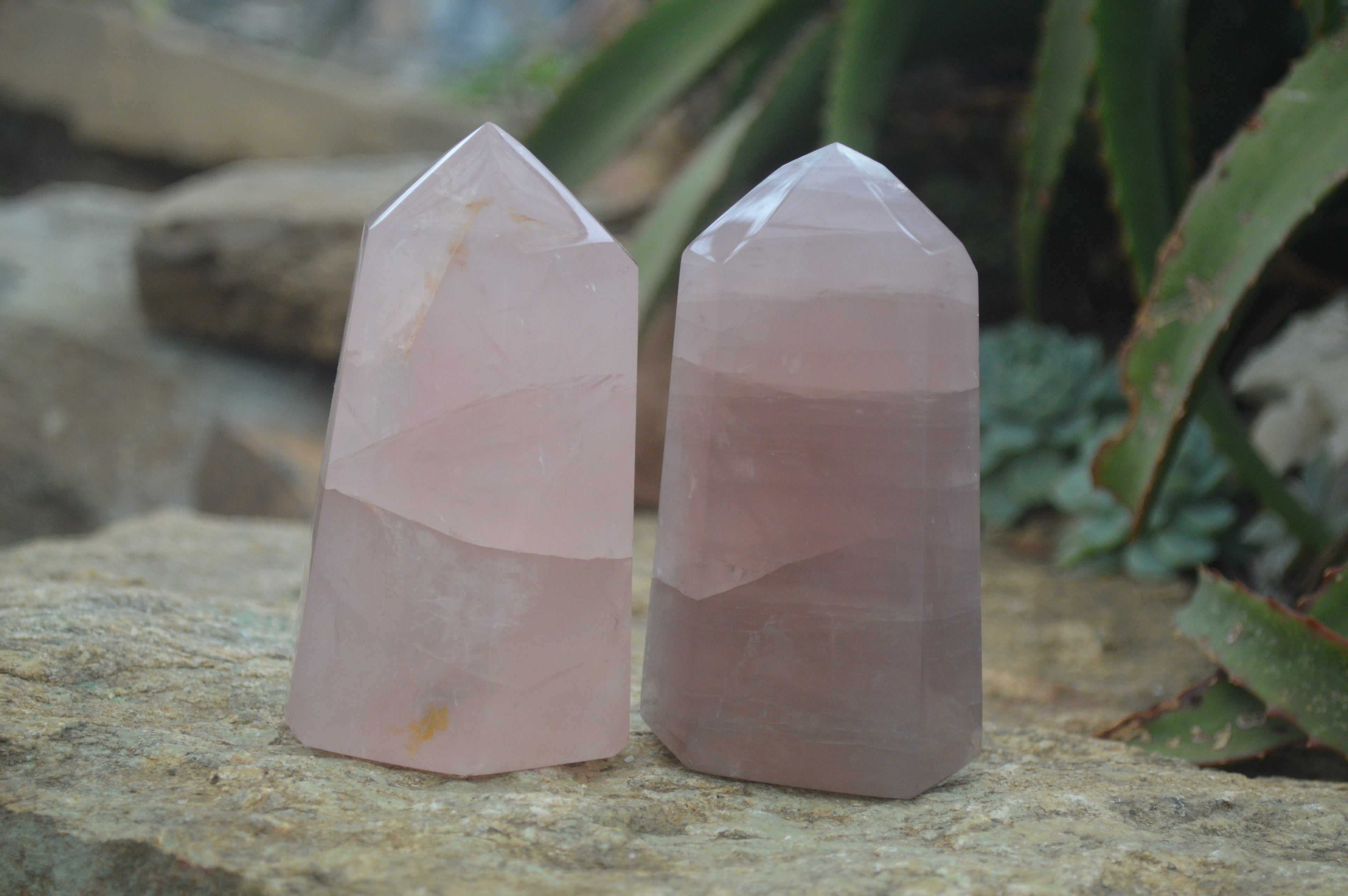 Polished Gemmy Rose Quartz Points x 4 From Madagascar - Toprock Gemstones and Minerals 
