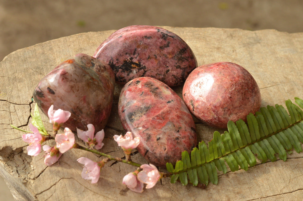 Polished Red Rhodonite Free Forms  x 4 From Zimbabwe - TopRock