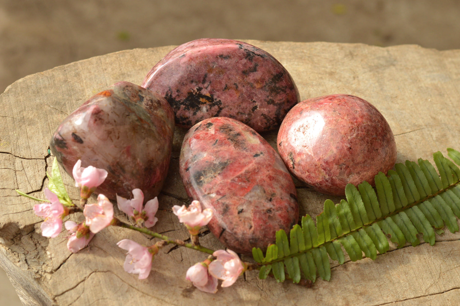 Polished Red Rhodonite Free Forms  x 4 From Zimbabwe - TopRock