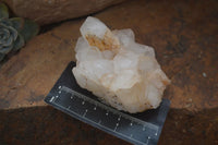 Natural Mixed Quartz Clusters  x 6 From Madagascar - Toprock Gemstones and Minerals 