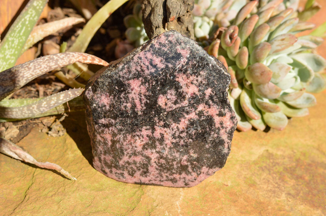 Polished One Side Polished Rhodonite Free Forms  x 6 From Ambindavato, Madagascar - TopRock