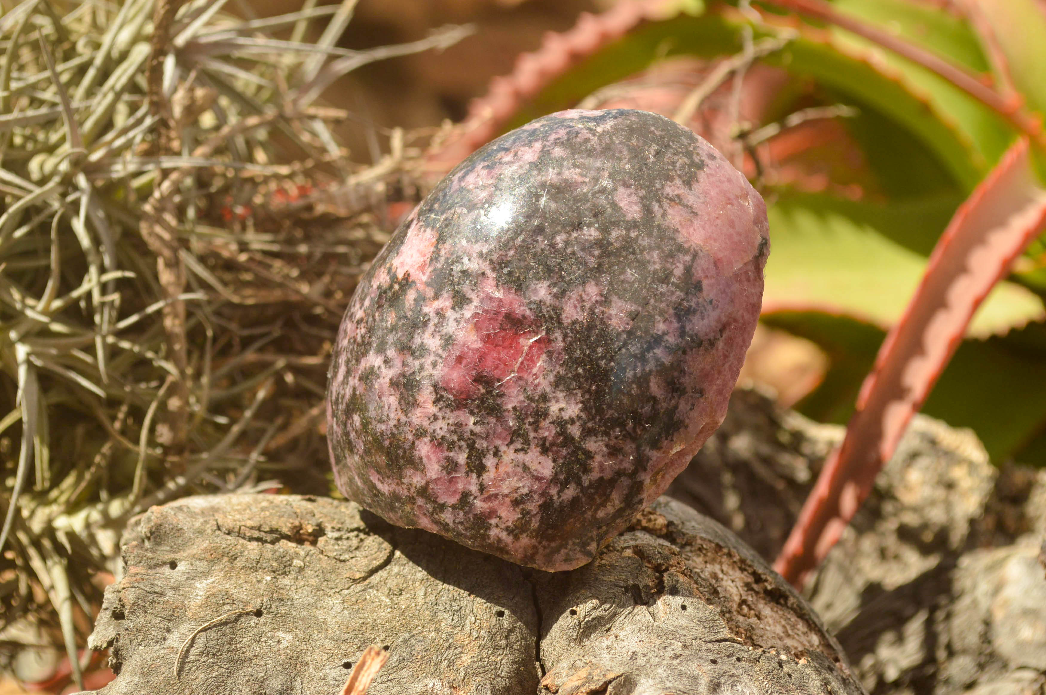 Polished Pink Rhodonite Free Forms  x 4 From Madagascar - TopRock