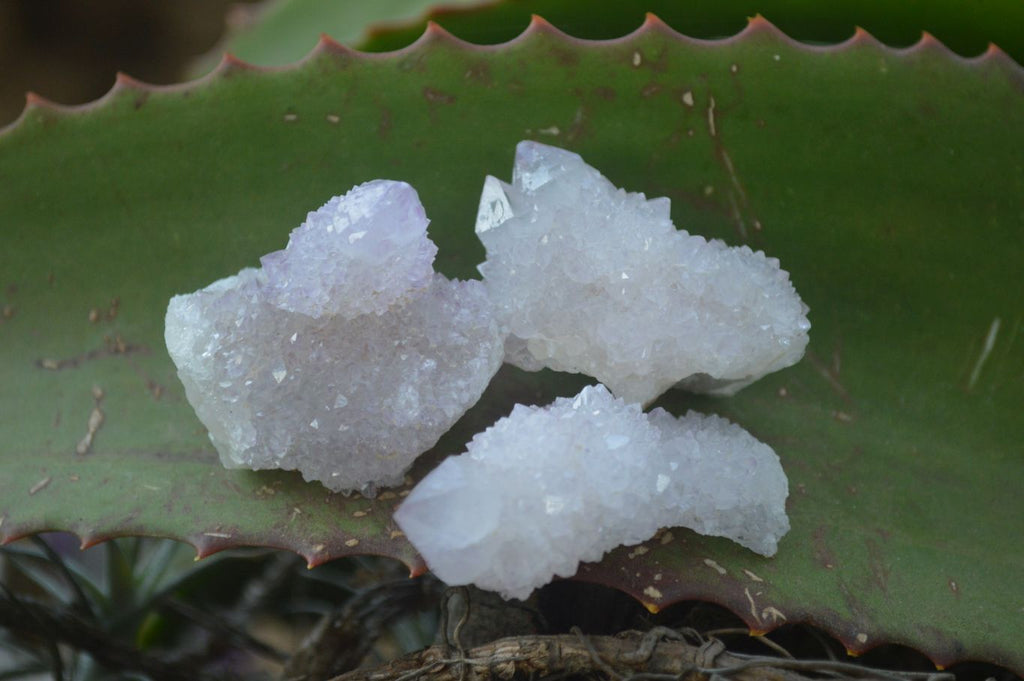 Natural Pale Lilac Spirit Quartz Crystals x 35 From Boekenhouthoek, South Africa - Toprock Gemstones and Minerals 