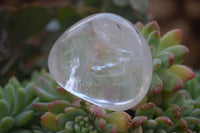 Polished Optic Rock Crystal Quartz Galet / Palm Stones x 12 From Madagascar - Toprock Gemstones and Minerals 