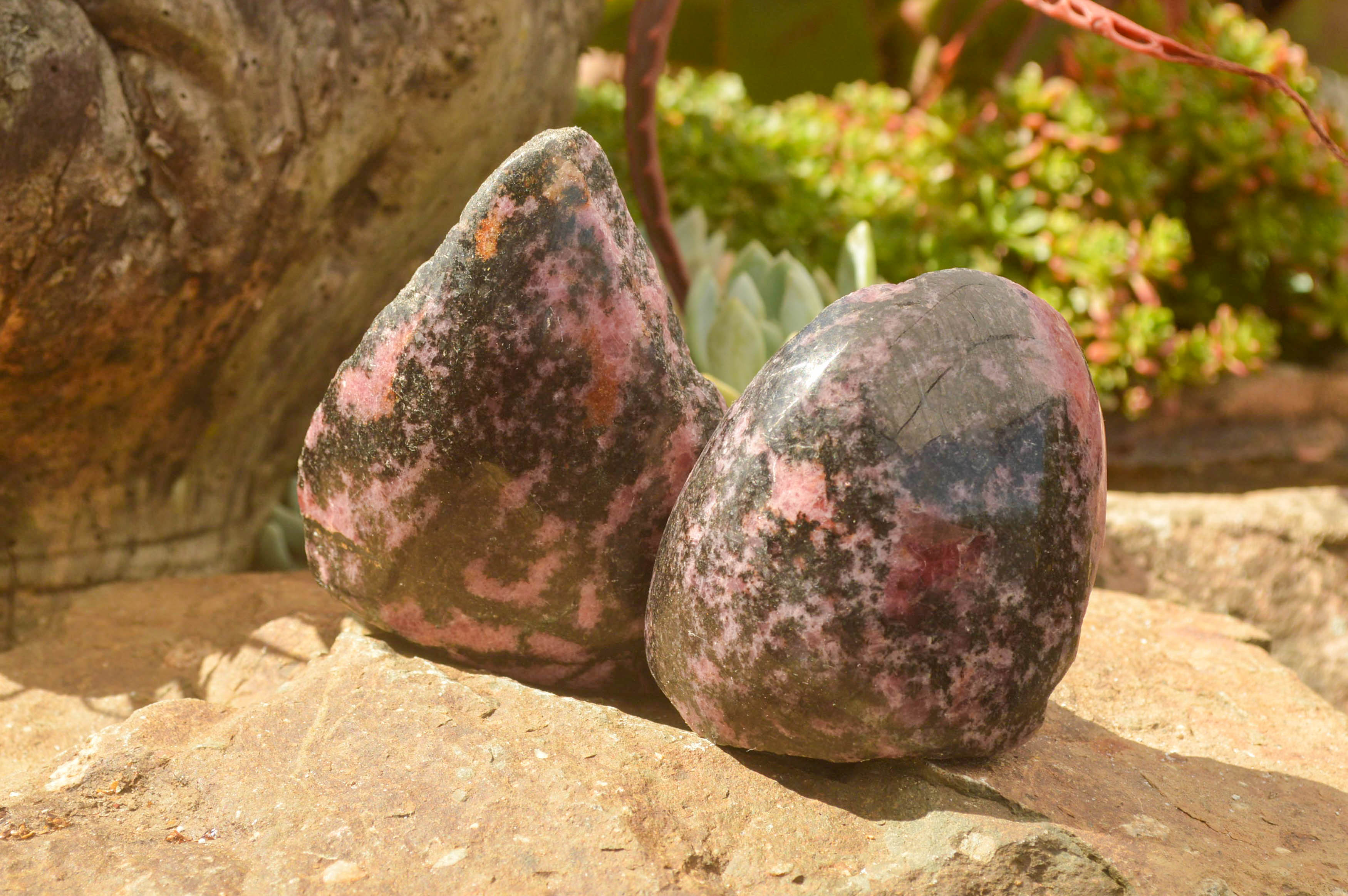 Polished Pink Rhodonite Free Forms  x 4 From Madagascar - TopRock