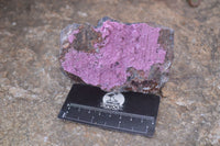 Natural Pink Salrose Cobaltion Dolomite Specimens  x 3 From Kakanda, Congo