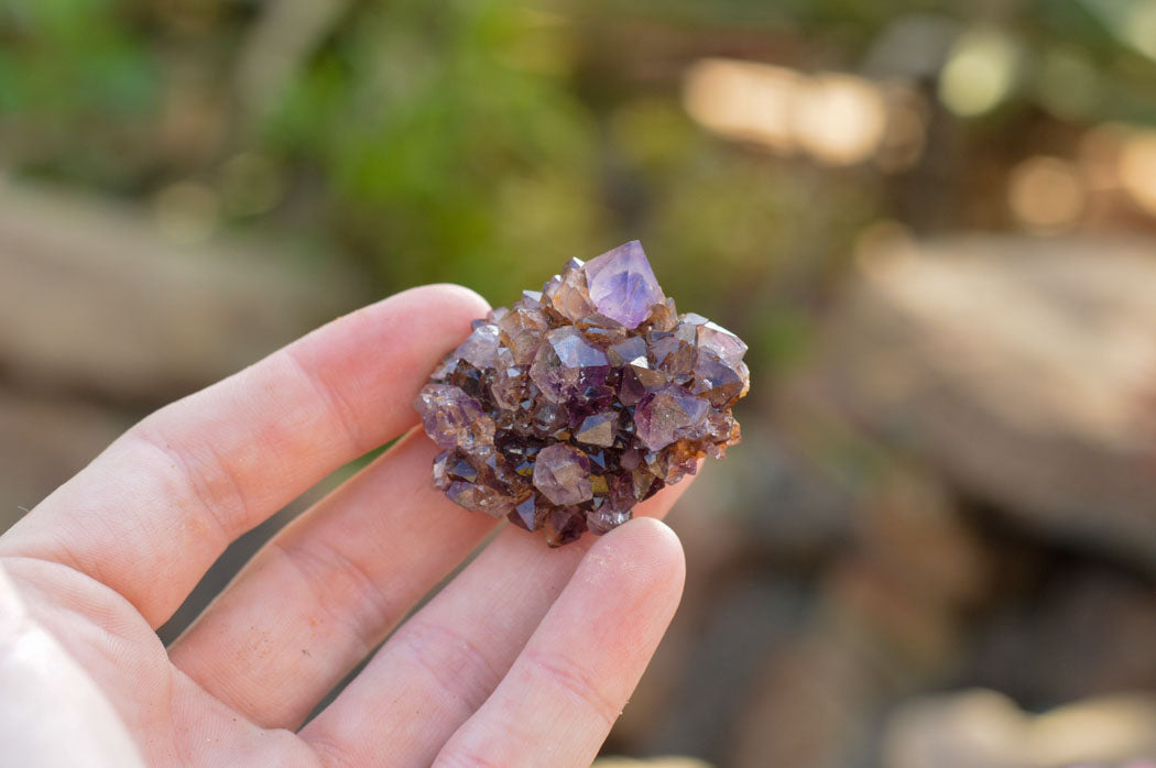 Natural Small Dark "Amethystos" Amethyst Clusters x 35 From Kwaggafontein, South Africa - TopRock