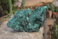Natural Chatoyant Silky Malachite Specimen x 1 From Kasompe, Congo - Toprock Gemstones and Minerals 