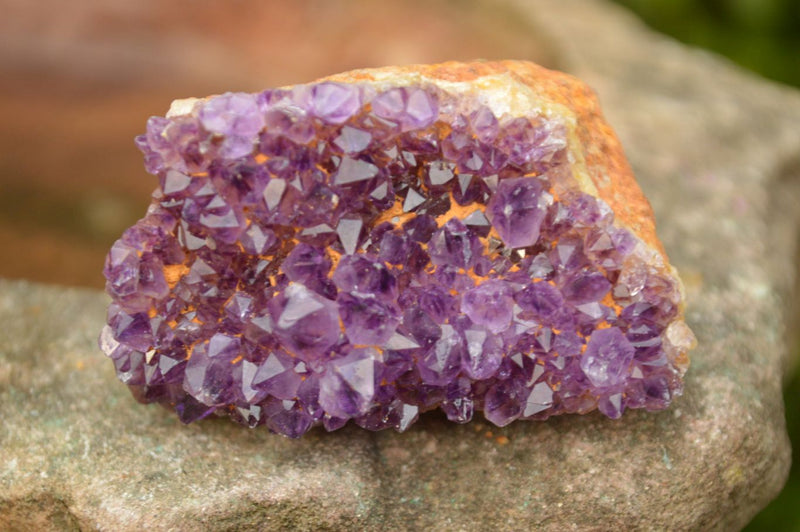 Natural Small Dark "Amethystos" Amethyst Clusters x 35 From Kwaggafontein, South Africa - TopRock