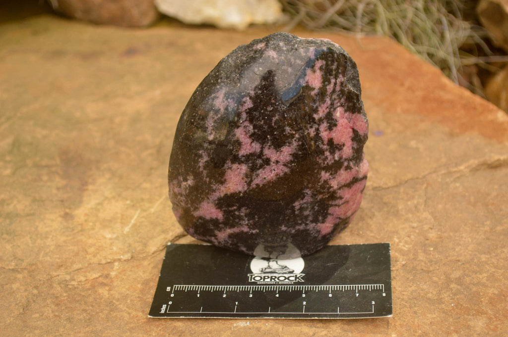 Polished Pink Rhodonite Free Forms  x 4 From Madagascar - TopRock