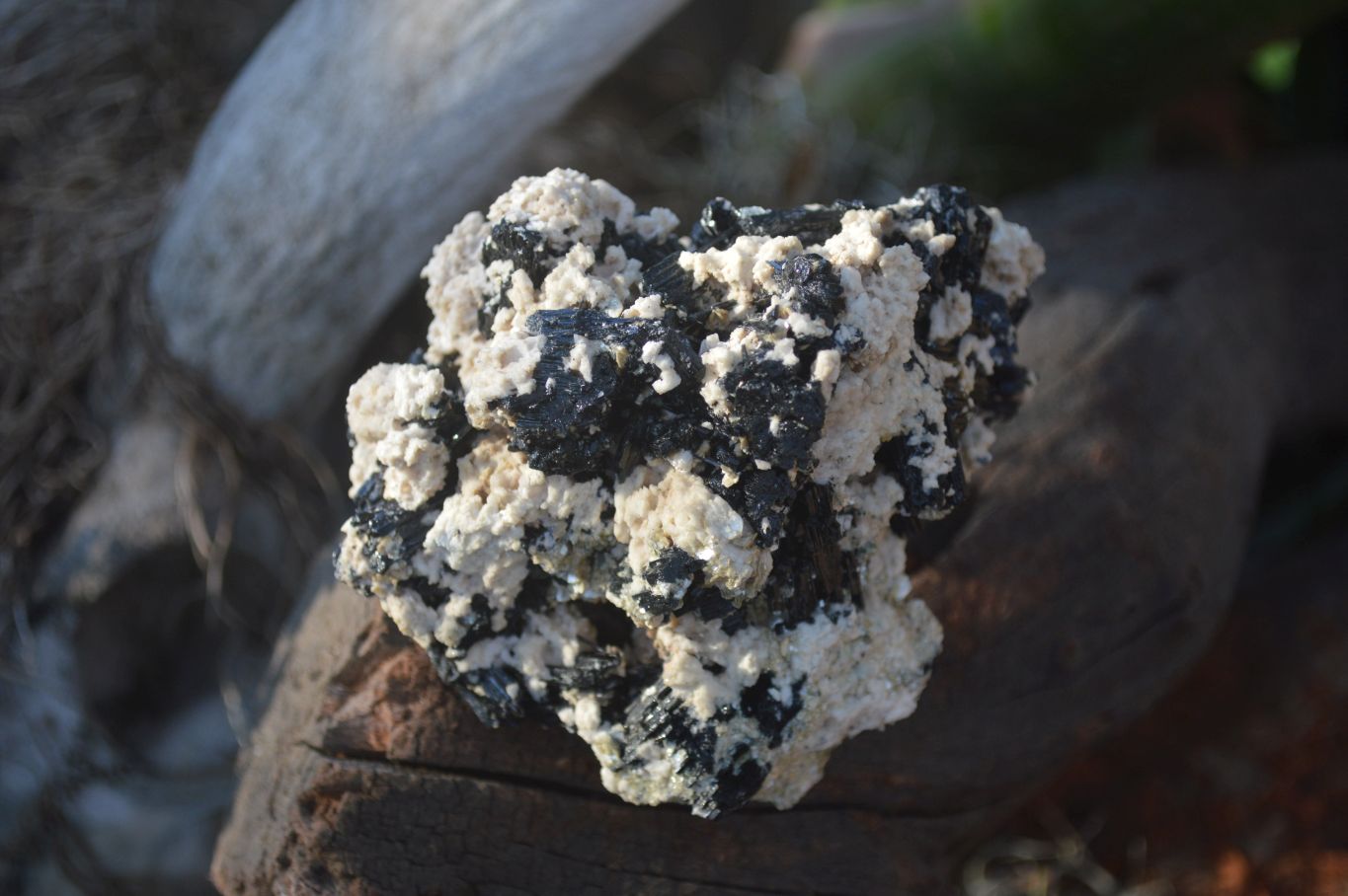 Natural Schorl Black Tourmaline Specimens x 6 From Erongo, Namibia - Toprock Gemstones and Minerals 