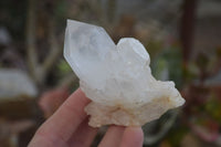 Natural Mixed Quartz Clusters  x 6 From Madagascar - Toprock Gemstones and Minerals 