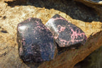 Polished One Side Polished Rhodonite Free Forms  x 6 From Ambindavato, Madagascar - TopRock
