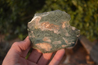 Polished On One Side Emerald Mtorolite Plates x 12 From Mutorashanga, Zimbabwe - Toprock Gemstones and Minerals 