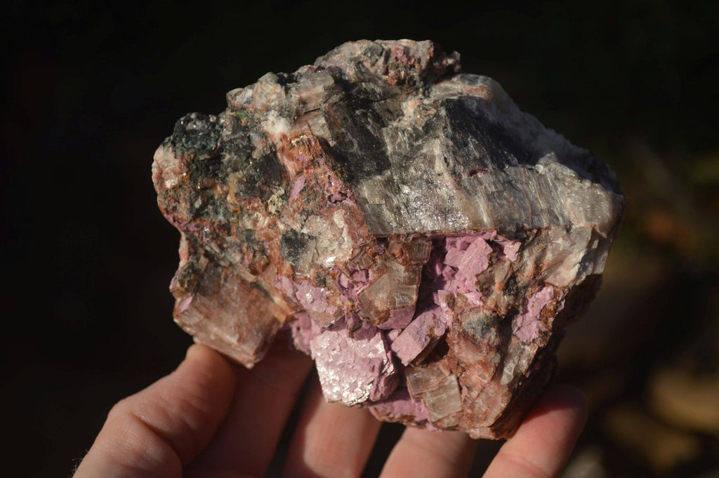 Natural Pink Salrose Cobaltion Dolomite Specimens  x 3 From Kakanda, Congo - Toprock Gemstones and Minerals 
