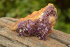 Natural Small Dark "Amethystos" Amethyst Clusters x 35 From Kwaggafontein, South Africa - TopRock