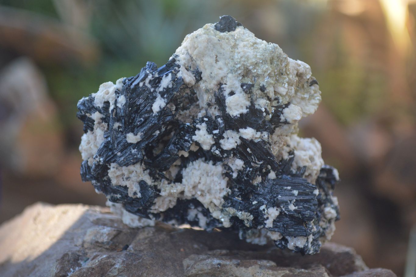 Natural Schorl Black Tourmaline Specimens x 6 From Erongo, Namibia - Toprock Gemstones and Minerals 