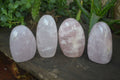 Polished Gemmy Rose Quartz Standing Free Forms x 4 From Ambatondrazaka, Madagascar - Toprock Gemstones and Minerals 