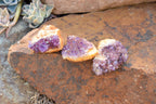 Natural Small Dark "Amethystos" Amethyst Clusters x 35 From Kwaggafontein, South Africa - TopRock