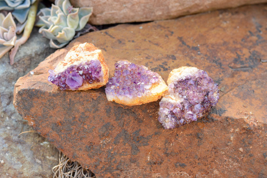 Natural Small Dark "Amethystos" Amethyst Clusters x 35 From Kwaggafontein, South Africa - TopRock