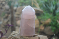 Polished Gemmy Rose Quartz Points x 4 From Madagascar - Toprock Gemstones and Minerals 