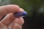 Polished Packaged Hand Crafted Resin Pendant with Sodalite Chips - sold per piece - From Bulwer, South Africa - TopRock