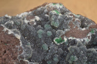 Natural Drusy Coated Ball Malachite On Dolomite Specimen  x 1 From Likasi, Congo - Toprock Gemstones and Minerals 