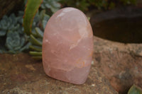 Polished Gemmy Pink Rose Quartz Standing Free Forms  x 3 From Ambatondrazaka, Madagascar - TopRock