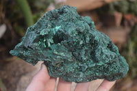 Natural Chatoyant Silky Malachite Specimen x 1 From Kasompe, Congo - Toprock Gemstones and Minerals 