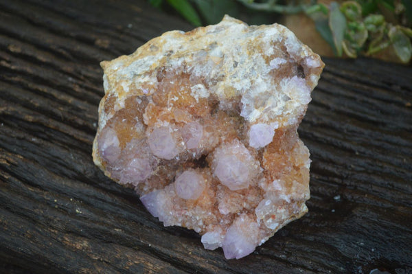 Natural Stunning Spirit Ametrine Quartz Cluster  x 1 From Boekenhouthoek, South Africa - Toprock Gemstones and Minerals 