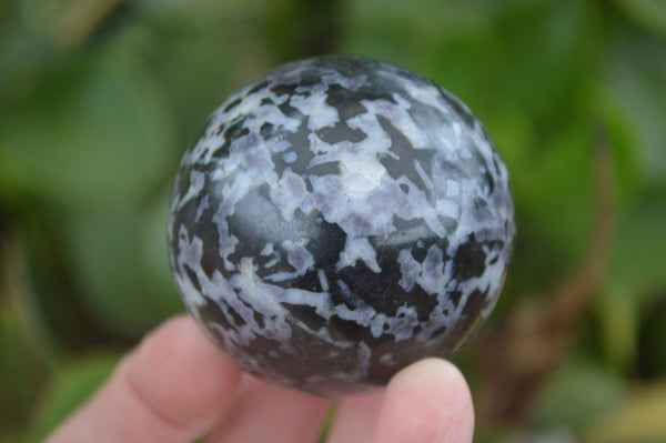Polished Gabbro Merlinite Spheres  x 5 From Ambatondrazaka, Madagascar - Toprock Gemstones and Minerals 