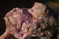 Natural Pink Salrose Cobaltion Dolomite Specimens  x 3 From Kakanda, Congo - Toprock Gemstones and Minerals 