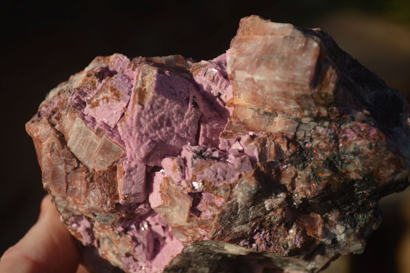 Natural Pink Salrose Cobaltion Dolomite Specimens  x 3 From Kakanda, Congo - Toprock Gemstones and Minerals 
