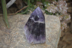 Polished Dream Amethyst Point x 1 From Madagascar - Toprock Gemstones and Minerals 