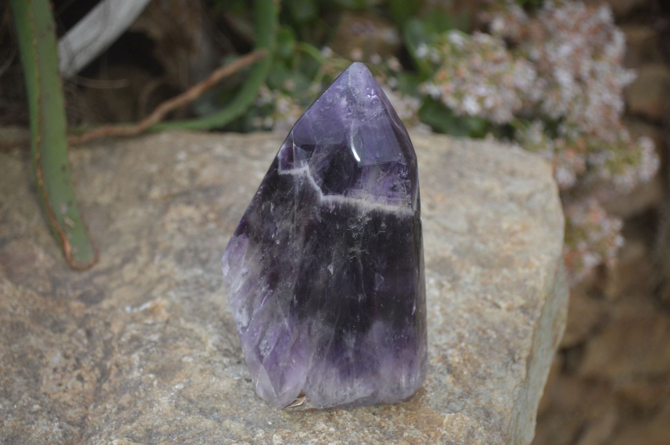 Polished Dream Amethyst Point x 1 From Madagascar - Toprock Gemstones and Minerals 