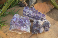 Natural Dark Amethyst Clusters x 3 From Mapatizya, Zambia - Toprock Gemstones and Minerals 