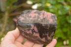 Polished Pink Rhodonite Free Forms  x 4 From Madagascar - TopRock