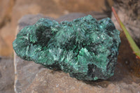 Natural Chatoyant Silky Malachite Specimen x 1 From Kasompe, Congo - Toprock Gemstones and Minerals 
