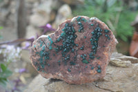 Natural Emerald Dioptase On Red Dolomite Matrix Specimen x 1 From Likasi, Congo