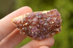 Natural Small Dark "Amethystos" Amethyst Clusters x 35 From Kwaggafontein, South Africa - TopRock