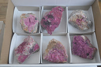 Natural Pink Salrose Cobaltion Dolomite Specimens  x 6 From Kakanda, Congo - Toprock Gemstones and Minerals 