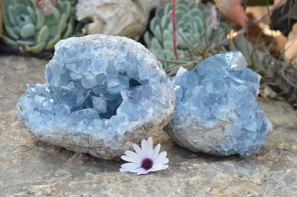 Natural Blue Celestite Geode Specimens With Cubic Crystals  x 2 From Sakoany, Madagascar - TopRock