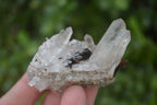 Natural Mixed Quartz Clusters  x 35 From Madagascar - Toprock Gemstones and Minerals 