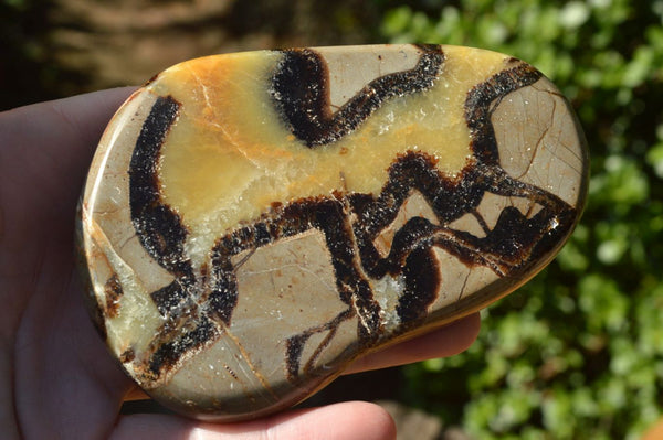 Polished Septarian (Calcite & Aragonite) Slices x 9 From Mahajanga, Madagascar - TopRock