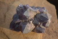 Natural Dark Amethyst Clusters x 3 From Mapatizya, Zambia - Toprock Gemstones and Minerals 