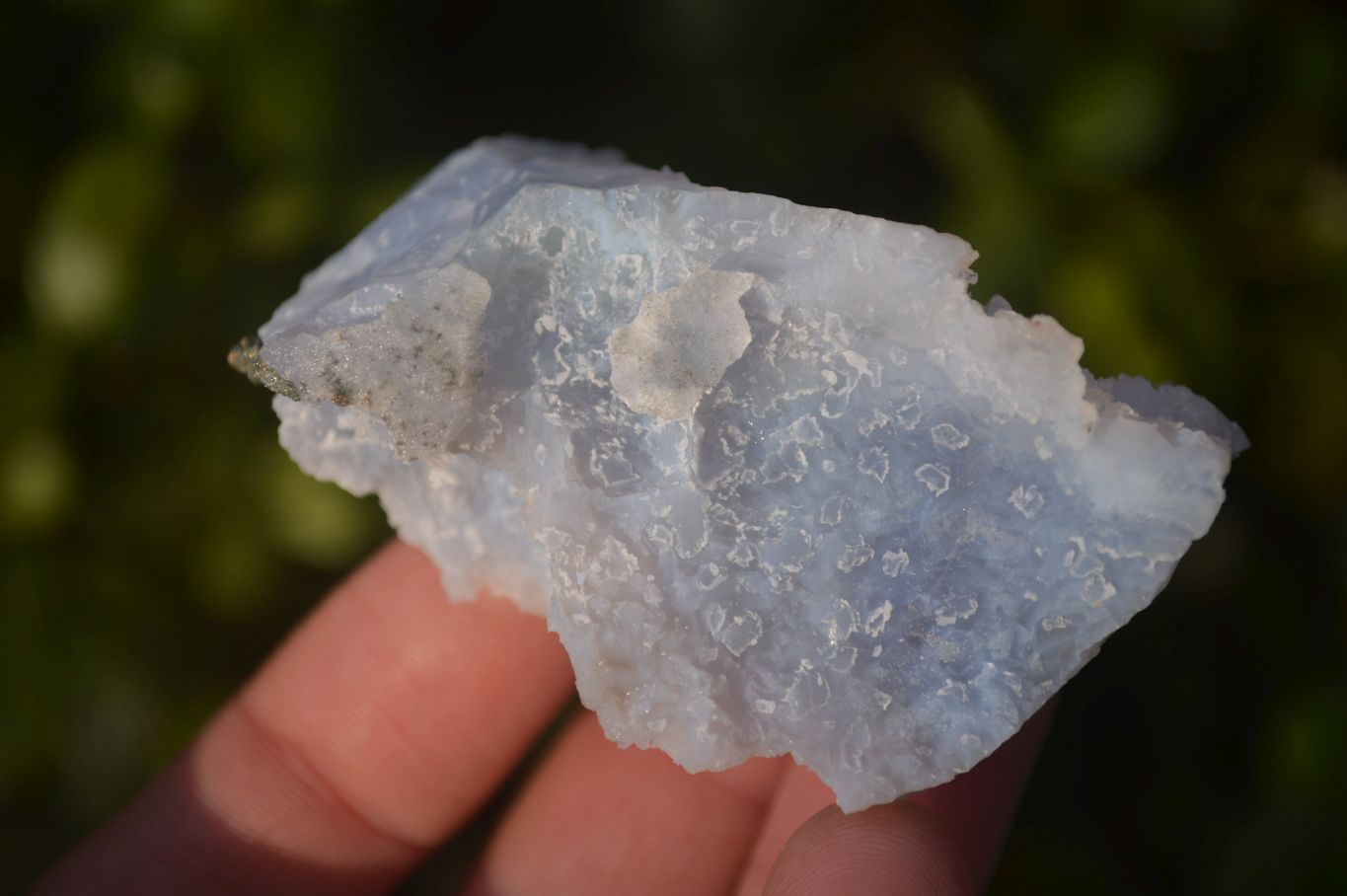 Natural Etched Blue Chalcedony Specimens x 12 From Nsanje, Malawi - Toprock Gemstones and Minerals 