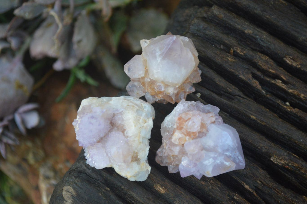 Natural Spirit Quartz Small Cluster or Crystal Specimens x 35 From Boekenhouthoek, South Africa - Toprock Gemstones and Minerals 