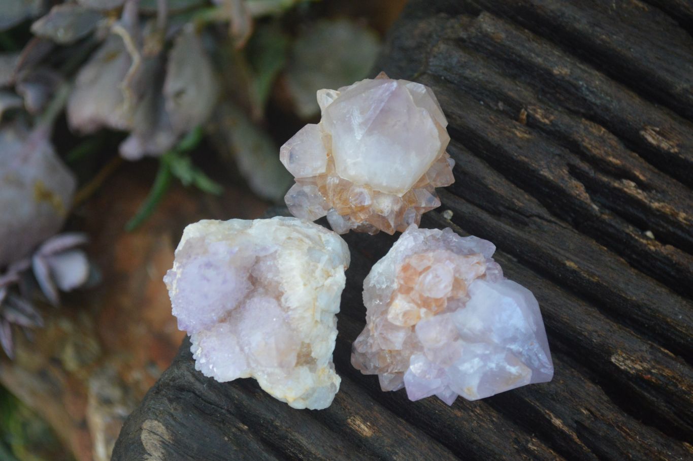 Natural Spirit Quartz Small Cluster or Crystal Specimens x 35 From Boekenhouthoek, South Africa - Toprock Gemstones and Minerals 